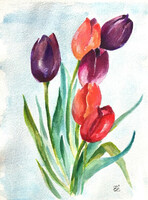 Six bunches of tulips - watercolor - 29 x 22 cm