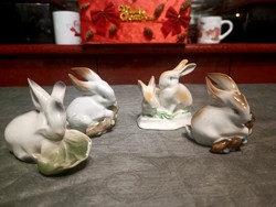 Marked bunny team