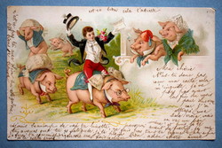 Antique graphic greeting litho postcard - pig family, groom, money from 1900 with commemorative stamp