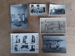 Régi fotók 1940 utáni kb. mezőgazdasági és fogászati munkáról készült fotók 6 db egyben! - 565