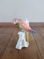 Antik Ens porcelán papagáj