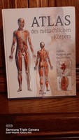 German anatomy book with many pictures, Kopp publication uj