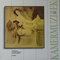 Wolfgang Amadeus Mozart / Franz Schubert - Kamermuziek (LP, Comp)