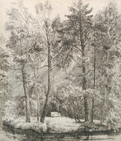 Boris buluchevsky: forest landscape - etching, Russian graphic work