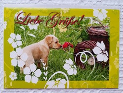 Jókívánság képeslap borítékkal üdvözlőlap üdvözlőkártya levelezőlap postatiszta német kutya mintával