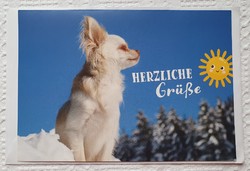 Greeting card with envelope, greeting card, greeting card, postcard, postal clean German dog pattern