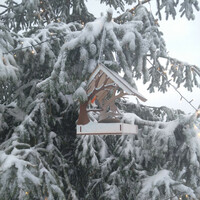 Bird feeder 6 – decorative wooden bird feeder for the garden
