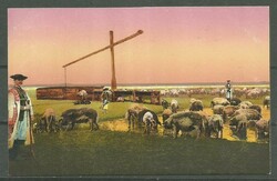 1918.- Hortobágy - did not run - postcard - pig pen