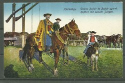 1918.- Hortobágy - did not run - postcard - in foal