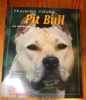 Joe Stahlkuppe Training your Pit Bull