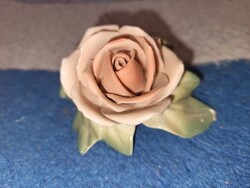 Német rózsa porcelán