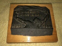 Bronze plaque for weapon