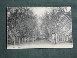 Postcard, postcard, col. A.B.E,n. , France, Algeria, Tunisia, park detail