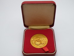 Uk0100 rare! 1976 Malta Disabled Rehabilitation Fund gold-plated pendant 40 mm