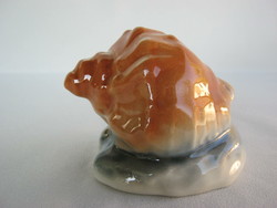 Porcelain seashell snail