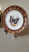 Csodaszép Royal Falcon porcelán dísztányér 25.5cm.