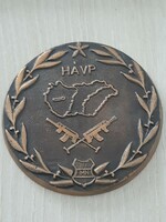 HÁVP  MN  Magyar néphadsereg bronz plakett a 70 es évekből