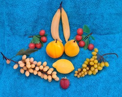 Retro plastic fruits (m4436)