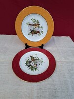 Gyönyörű Madaras Limoges francia tányérok tányér madár dísztányér