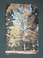 Card calendar, Romania, Cluj printing house, Transylvanian landscape detail, forest detail, 1974, (5)