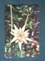 Card calendar, Romania, Cluj-Napoca printing house, detail of Transylvanian landscape, mountain meadow flower, 1974, (5)