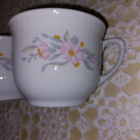Retro Polish, beautiful floral, Ljubljana, mug cup