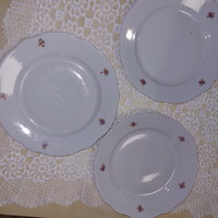 Zsolnay virágos lapos tányérok