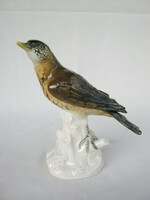Volkstedt porcelain bird pine thrush 16 cm