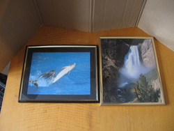 Feng shui photos, dolphin and waterfall