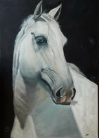 Galina Antiipina: a horse, oil painting, canvas, 70x50cm