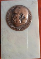 Högyes Endre 1847-1906 bronz plakett márvány lapon