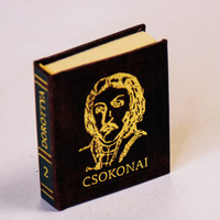 Csokonai V. Mihály: Dorottya I. – Miniatűr könyv