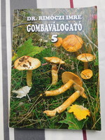 Dr. Imre Rimóczi: mushroom picker 5
