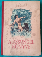Kipling: The Jungle Book > children's and youth literature > adventure novel
