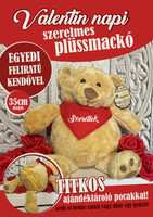 Valentine's Day gift plush bear with a scarf around the neck that can be requested with a unique inscription