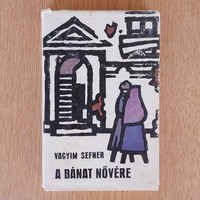 Vagiim sefner - the sister of sorrow (physical war novel)
