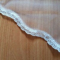 Fty111 - 1 layer, embroidered in a circle with a lace edge snow white bridal veil 300x150cm
