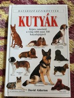 David Alderton: Dogs (Definitive Handbook)