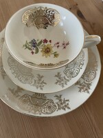 Wonderful Bavarian breakfast tea cup set, trio