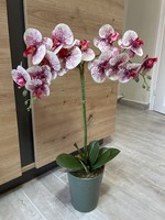 Gyönyörű gondozásmentes Orchidea virág műnövèny kerámia kaspóban lakásdekoráció