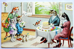 Humorous cat postcard - guest / new edition
