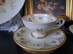 Bavaria johann haviland porcelain tea cup