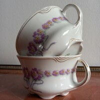 Schlaggenwald Art Nouveau tea cup (1896–1918) (haas & czjzek)