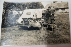 Deer hunting in an old photo in perfect condition