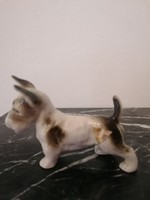 Skot terrier royal dux dog. A very rare collector's item