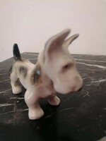 Hollóházi Skot terrier royal dux kutya. Very rare collector's item