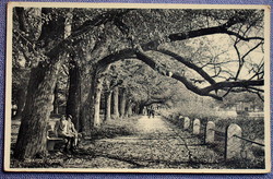 Tata, lakeside - lakeside detail photo postcard 1952