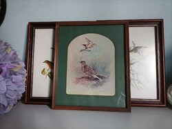 Larger (33 cm high) bird framed picture