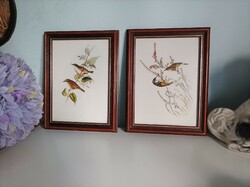 2 old prints of birds in a larger ~A4 size wooden picture frame (modern reproduction)
