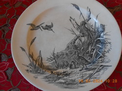 William Brownfield & Son Viktória korabeli angol fajansz tányér, 1875 I